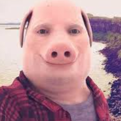 Avatar du membre