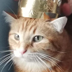 Avatar du membre