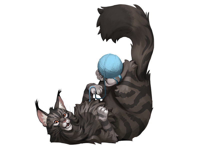 Mi_Ow-Maine-coon.png